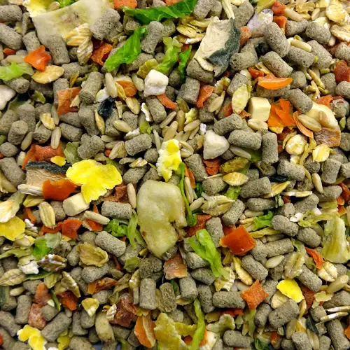 ハムスター テイストプラス 220g × 3袋 ハムスター 小動物用フード ペットフード おやつ ビタミンC  乳酸菌配合 [BU033sa]