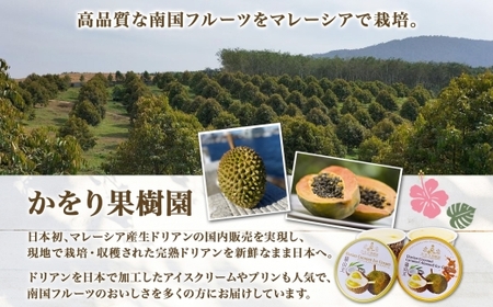 ドリアン ココナッツ アイスクリーム 100ml 6個 濃厚 ココナッツ ミルク