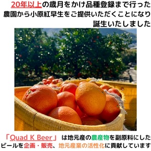 【香川県丸亀市・多度津町共通返礼品】クラフトビール【Quad K Beer】セゾンビール・kokou 詰め合わせ 6本セット【B-70】