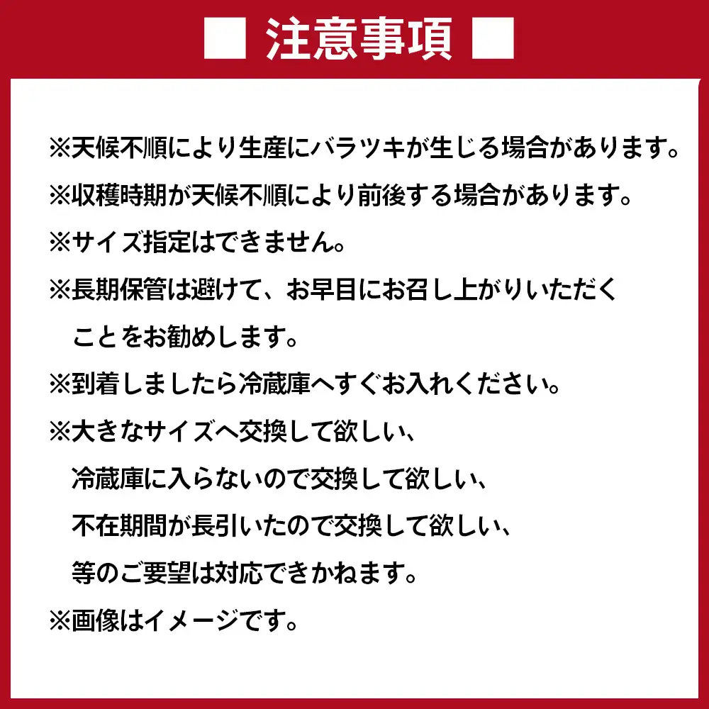 No.012 井上さんの西瓜「自信作（赤肉スイカ）」2Lサイズ以上2玉 ／ スイカ すいか 西瓜 2L 完熟 糖度 高糖度 甘い シャリ感 果物 フルーツ 旬 産地直送 お取り寄せ 贈答 ギフト 暑中見舞い 夏休み デザート 千葉県