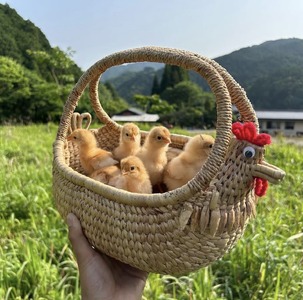 つのたま タカセ花園 [a0783] 返礼品 添田町 ふるさと納税