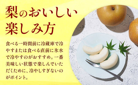 先行予約 梨 おまかせ梨 秀品 約5kg 《8月上旬-10月上旬頃出荷》日本フルーツ株式会社 フルーツ 旬の品種 