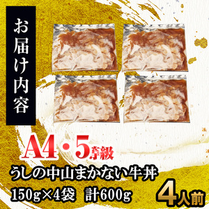 CHUZANのまかない牛丼4人前 計600g(150g×4袋) 牛肉 牛 丼ぶり 肉 簡単調理 黒毛和牛 おかず 冷凍 煮込み鹿児島県産 鹿児島産 a1-134