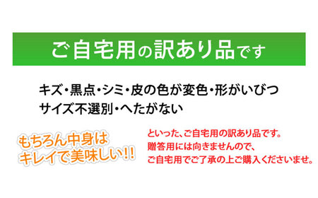 訳あり メロン 品種おまかせ 約4kg （2～7玉） 緑果肉 赤果肉 白果肉 めろん 果物 くだもの フルーツ 国産 九州 熊本県 熊本市 常温 【2026年5月下旬～7月下旬迄順次発送予定】