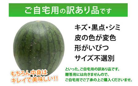 訳あり 小玉すいか 2玉 （約2～3kg） 西瓜 スイカ くだもの 果物  フルーツ 国産 九州 熊本県 熊本市 冷蔵 【2026年5月下旬～7月下旬迄順次発送予定】