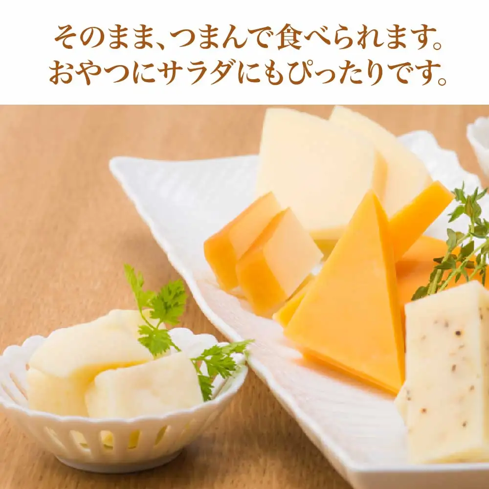 蔵王チーズ　蔵王ミルクキューブ　90g×6個セット　【04301-0817】