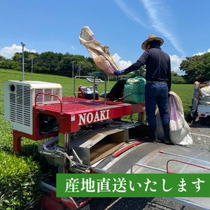 静岡産 沼津茶 沼津紅茶 ( 30g ) × 2パック 計60g 農家直送 産地直送 お茶 茶 紅茶 飲料 家庭用 ご自宅用 おためし 静岡 沼津