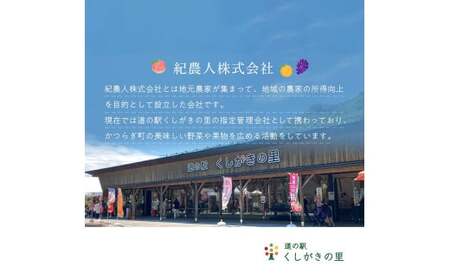 紀州てまり（和歌山県ブランド柿）6～7個入 こだわり農家厳選 先行予約 【2026年10月初旬頃から11月中旬頃順次発送】 / 柿 フルーツ 果物 かき 和歌山 かつらぎ 農家直送 贈答【kgr029】