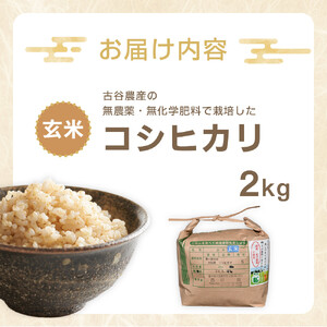 【令和7年産米 数量限定】古谷農産の無農薬・無化学肥料で栽培したコシヒカリ（玄米2キロ） ｜米 コメ  2kgコシヒカリ こしひかり 農家直送 産地直送 産直