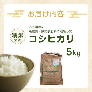 【令和7年産米】古谷農産の無農薬・無化学肥料で栽培したコシヒカリ（精米5キロ） ｜米 コメ  白米 5kg コシヒカリ こしひかり 農家直送 産地直送 産直