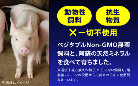 『香心ポーク』ミンチ 約250g×6パック 豚肉ミンチ[AYCK003]