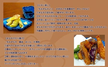 【お試し】みずなす漬け3個＋生みずなす3個セット