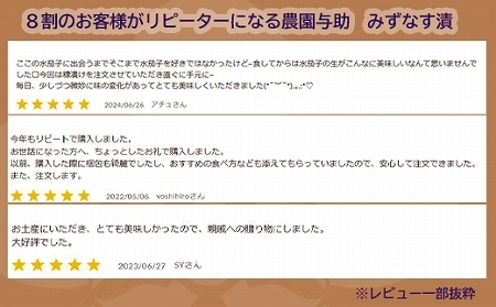 水なす漬け6個セット