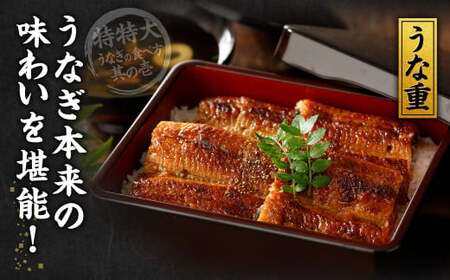九州産 うなぎ蒲焼 特特大2尾 (1尾あたり250～266g) 合計500g以上【順次発送】
