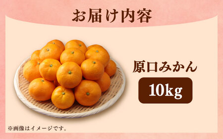 【2026年11月より発送】原口みかん10kg（箱込み）長与町/岩永農園[EAZ005] 