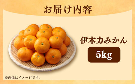 【2026年12月より発送】伊木力みかん5kg/岩永農園[EAZ006]