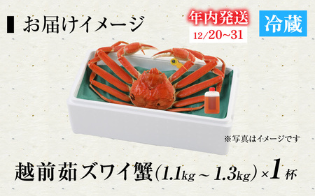 [捌き済選択可][到着日指定可]蟹好きにおすすめ！老舗カニ専門店の「越前ずわいがに」特大サイズ(1.1kg～1.3kg) ＜＞ [P-085029] 