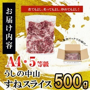 すねスライス500g(500g×1袋) 黒毛和牛 和牛 肉 牛肉 国産 九州産 鹿児島県産 すね スネ 日本一 a1-131