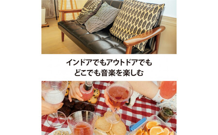 【ブルー 】Bluetooth 5.0 ポータブル ワイヤレス スピーカー2個セットPG-PWS01-03 AOS0004VC03