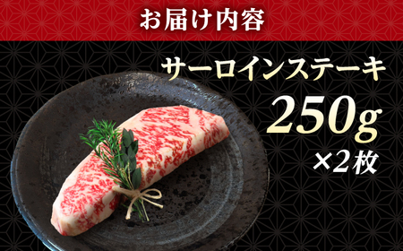 長崎和牛 サーロイン ステーキ 250g×2 【KRAZY MEAT】 A5 A4 冷凍 和牛 肉 牛肉 BBQ[RCQ003]