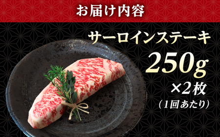 【全12回定期便】 長崎和牛 サーロイン ステーキ 250g×2 【KRAZY MEAT】 A5 A4 冷凍 和牛 肉 牛肉 BBQ[RCQ013]