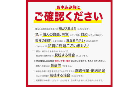 【岡山県産】晴王 シャインマスカット 約600g 1房 【2026年9月上旬～2026年11月下旬発送予定】 マスカット ぶどう ブドウ 葡萄