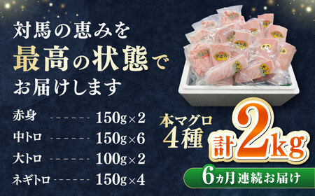 【全6回定期便】 対馬産 本マグロ 4種 計2kg（赤身/中トロ/大トロ/ネギトロ）[WAH035] マグロ まぐろ トロ