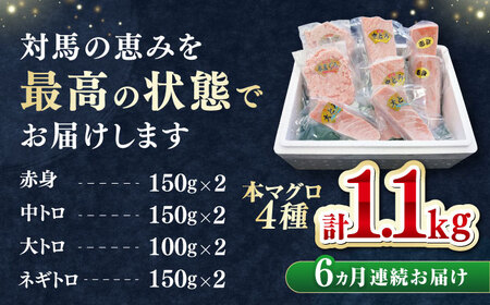 【全6回定期便】 対馬産 本マグロ 4種 計1.1kg（赤身/中トロ/大トロ/ネギトロ）[WAH038] マグロ まぐろ トロ