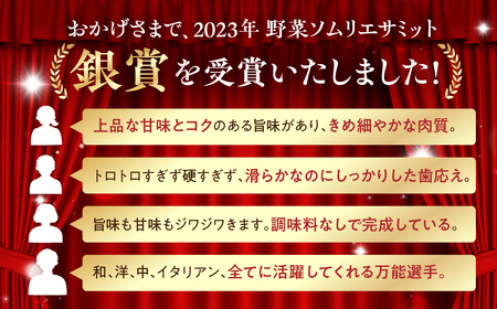 ≪先行予約≫とげなし茄子 10本 ナス 茄子 なす なすび 野菜 旬 旬の野菜 糖度 石田茄子 トゲなし