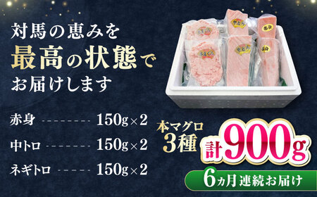 【全6回定期便】 対馬産 本マグロ 3種 計900g（赤身/中トロ/ネギトロ）[WAH041] マグロ まぐろ トロ
