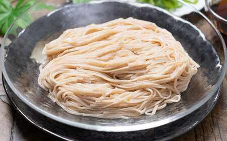 【田中製麺】彩湟（さいこう）全粒麺 ノンオイル製法 島原手延べそうめん 万能麺 170g×6袋 / 純国産 乾麺 パスタ 素麺 / 南島原市 / 贅沢宝庫[SDZ040]