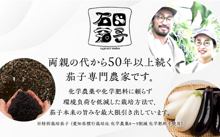 ≪先行予約≫こだわり茄子 食べ比べ≪とげなし茄子×白茄子≫ ナス 茄子 なす なすび 白なす しろなす