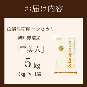 魚沼産コシヒカリ 特別栽培 雪美人  5kg  | 津南町 魚沼 令和7年