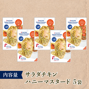サラダチキン ハニーマスタード味 100g×5個 リン酸不使用 冷凍 鶏肉 サラダ スパイス お弁当 おかず