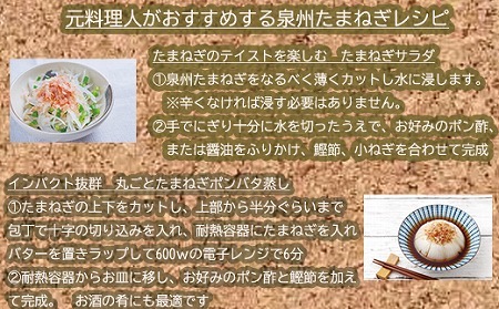 岸上農園　泉州玉ねぎ　約10kg