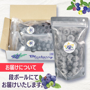 【先行予約】冷凍ブルーベリー 約1kg（1袋500g×2） ブルーベリー