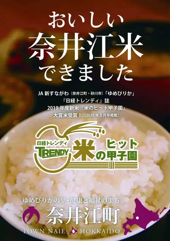 【定期便12回】北海道奈井江町　特別栽培米　ゆめぴりか　5kg【無洗米】