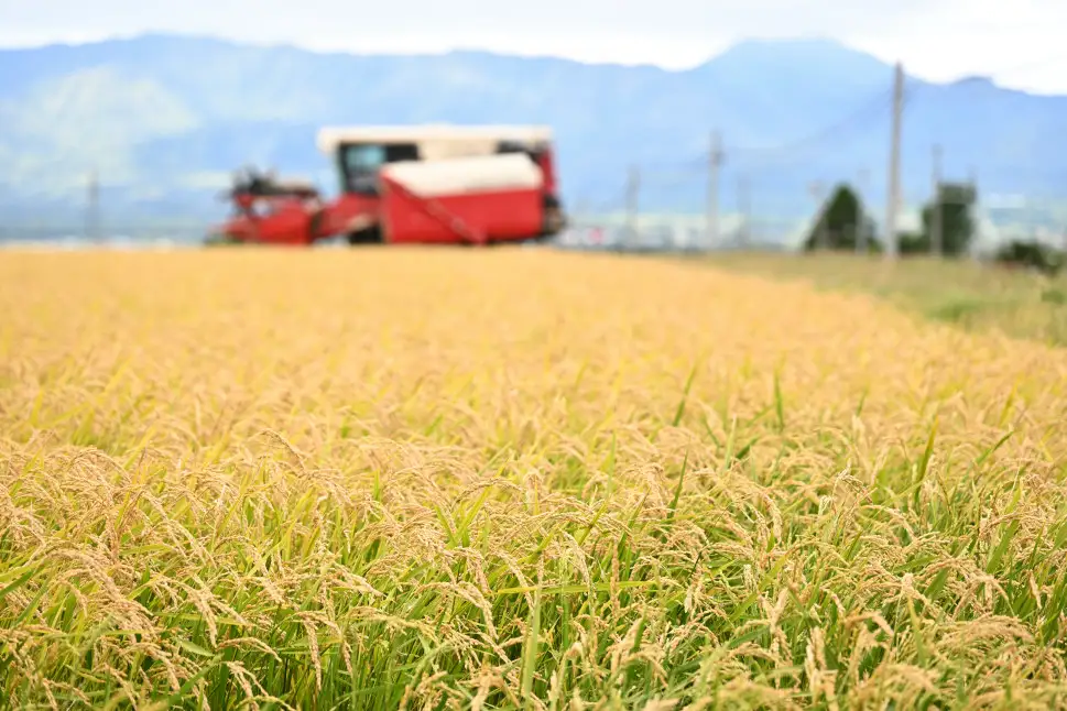 【定期便12回】北海道奈井江町　特別栽培米　ななつぼし　5kg