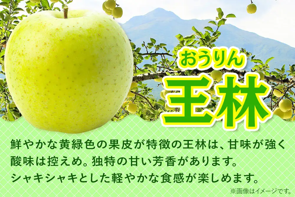 【27年1月発送】りんご 贈答用 サンふじ・王林 詰め合わせ 約10kg