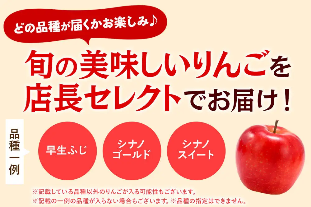 【27年3月クール便発送】りんご 家庭用 訳あり 旬のりんご 品種おまかせ 約5kg 2品種～4品種