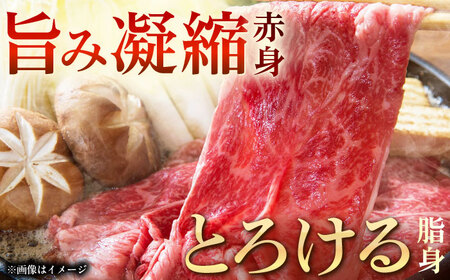 【12回定期便】長崎和牛モモスライス約1kg（500g×2）【黒牛】[QBD079]