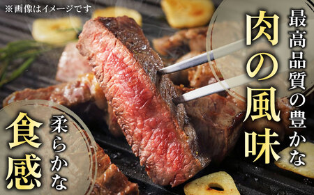 【12回定期便】長崎和牛　ハンバーグ　10個入り（各200g）【黒牛】[QBD082]