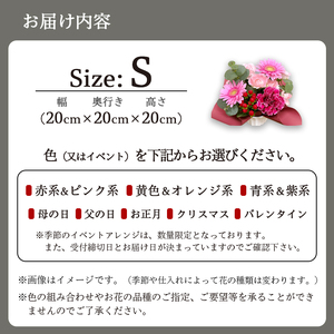 季節のフラワーアレンジメント（S/黄色・オレンジ系） | 花 お花 生花 フラワー フラワーアレンジメント 花束 お祝い 黄色 オレンジ イエロー 橙色 配送地域限定 京都府 綾部市
