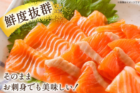 訳あり サーモン 尾っぽ柵 おさしみ用 総重量 1.5kg [足利本店 宮城県 気仙沼市 20566207]