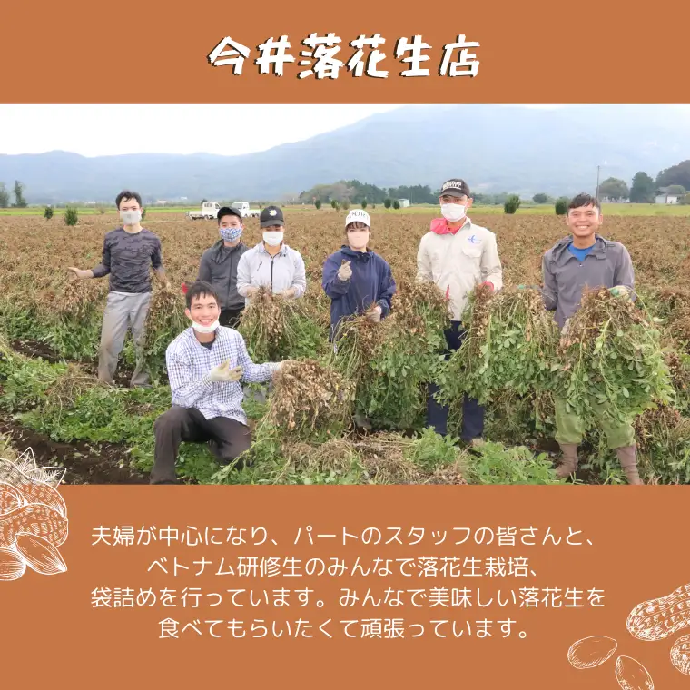 訳あり お徳用 茨城県産 生落花生 合計460g (230g×2袋) 簡易包装 ポスト投函 ご自宅用 ピーナッツ 落花生 ナッツ 小分け 豆 おつまみ 8000円 [BB010sa]