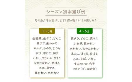 【隔月3回定期便 / 下処理済】鮮魚セット 三陸海の恵み詰め合わせ  (1回あたりのお届け目安：1～2人用) 【 鮮魚 海鮮 お刺身 魚介 魚介類 鮮魚BOX 詰め合わせ セット 三陸産 国産 天然 宴会 時短 便利 簡単 お手軽 岩手県 陸前高田市 産地直送 】 RT2581
