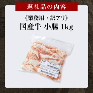 《業務用・訳アリ》国産牛　小腸　1kg