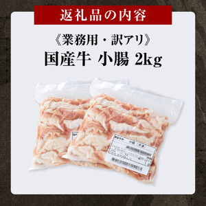 《業務用・訳アリ》国産牛　小腸　2kg