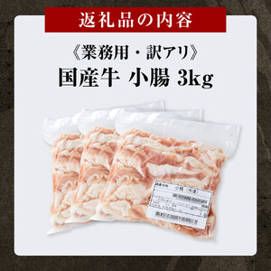 《業務用・訳アリ》国産牛　小腸　3kg
