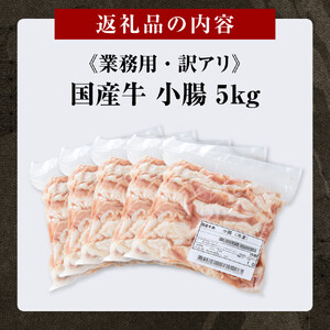 《業務用・訳アリ》国産牛　小腸　5kg